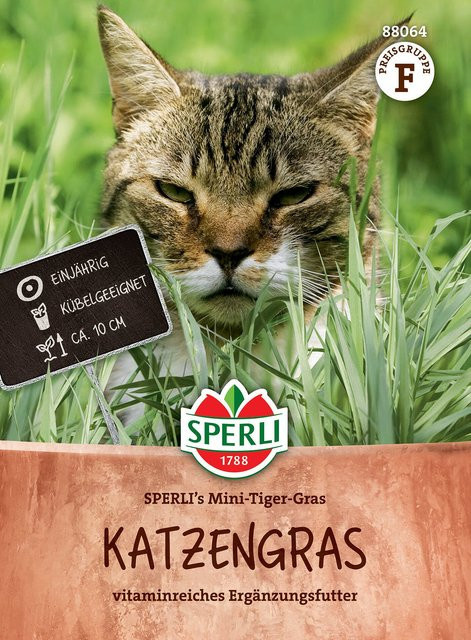 SPERLI Katzengras-Samen Mini-Tiger-Gras - Bild 1