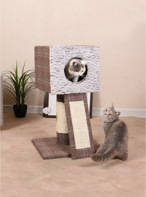 Heim Kratzbaum Schottland I für Katzen in Braun mit Höhle, Spielball und integriertem Spielzeug - Bild 1