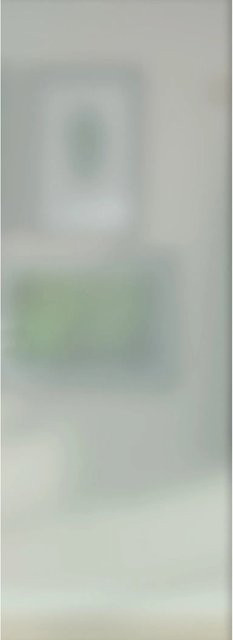 Skyscope ESG Floatglas Lichtausschnitt satiniert Weiß, B: 53,5 cm, H: 142 cm, Stärke: 4 mm für Holz-Innentüren - Bild 1