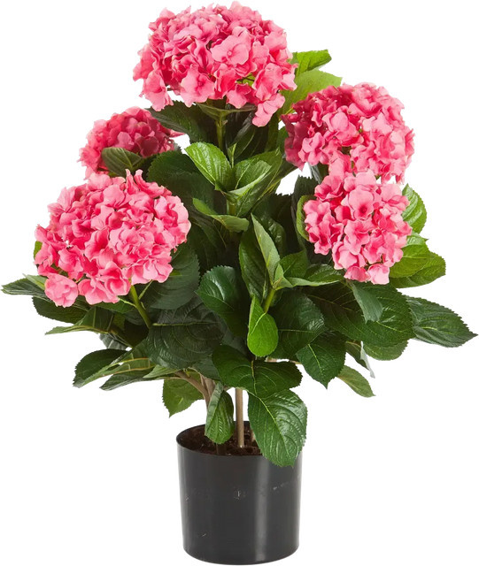 Künstliche Hortensie Nils von Aplanta, Höhe: 53 cm - Bild 1