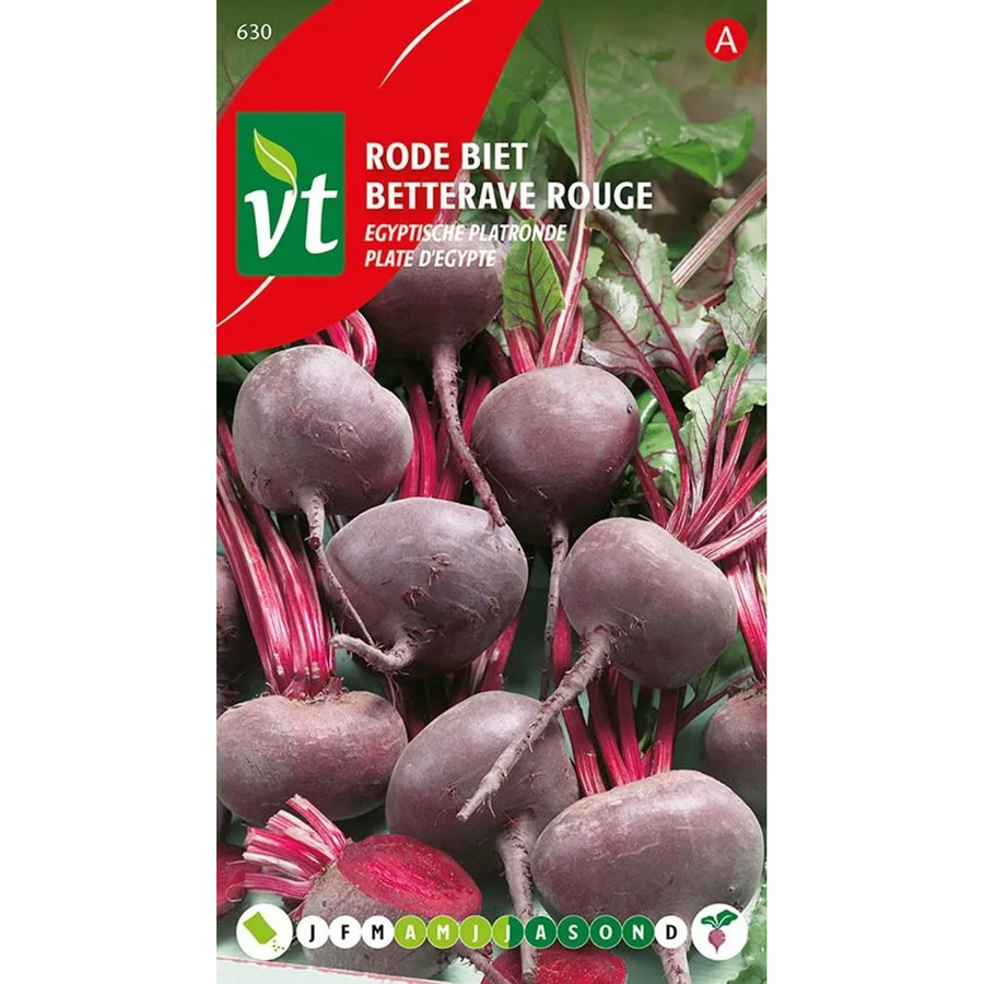 Arborix Rote Bete Ägyptisch Flach Rund Samen, 5 g - Bild 2