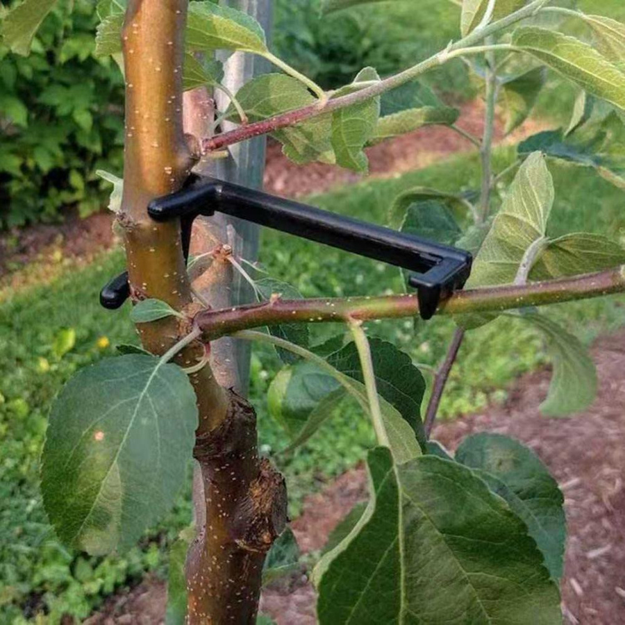 100 Stück Verstellbare Bonsai Triebstammspreizer aus Kunststoff zur Unterstützung des Triebwachstums von KONNWEI - Bild 2