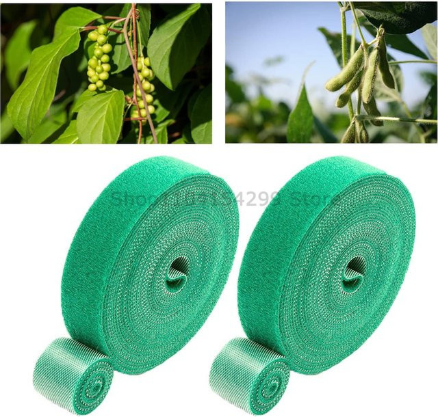 Selbstklebendes Nylon-Pflanzenband in Grün als Klettverschluss-Rankenband zur Pflanzenstützung und Gartenbefestigung - Bild 1