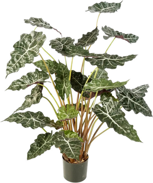Künstliche Alocasia Emma von Aplanta in Grün, Höhe: 110 cm - Bild 1