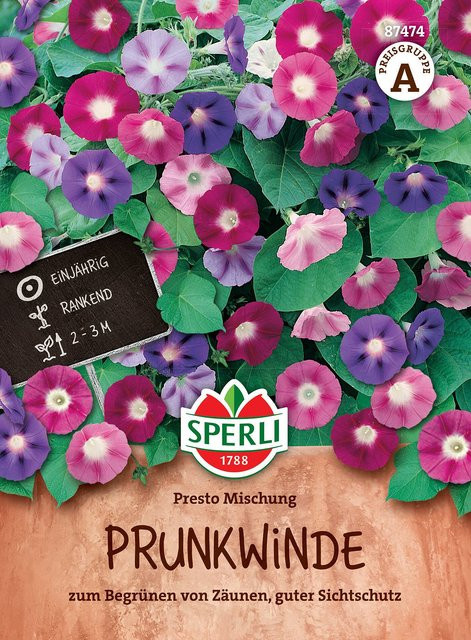 SPERLI Prunkwinden-Samen Presto Mischung bunte Kletterpflanzen - Bild 1