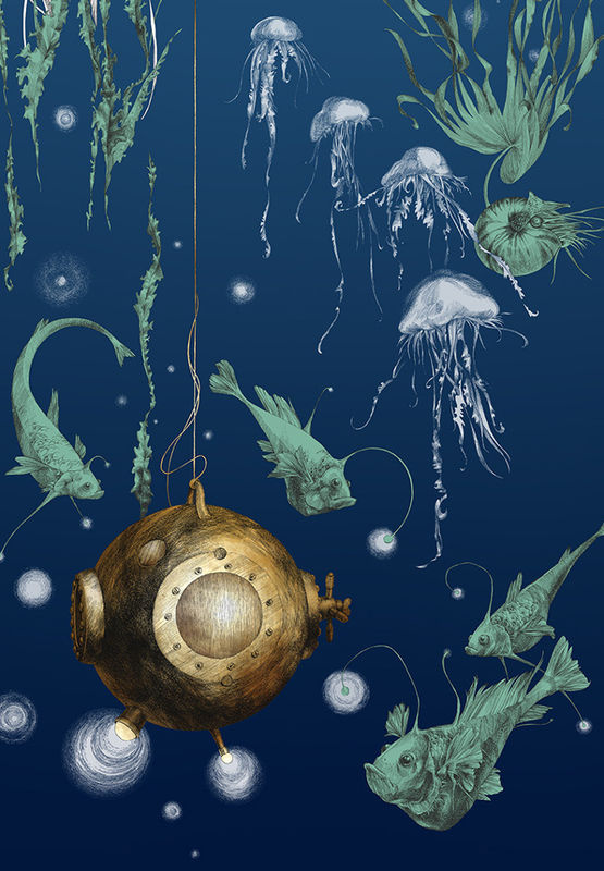 Edmond Petit Meeres-Tapete Nautilus gauche in Marineblau aus Vlies - Bild 2