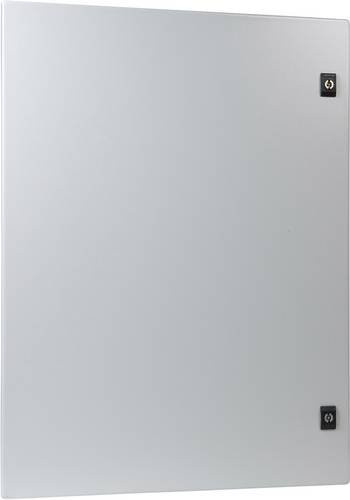 Schneider Electric NSYDCRN44 Tür aus Stahl in Lichtgrau RAL 7035, B: 40 cm, H: 40 cm - Bild 1