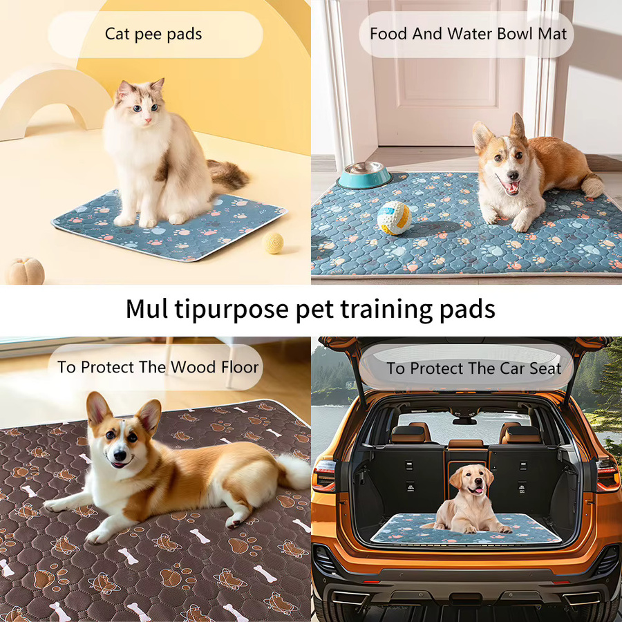 BIAI Haustier-Matte wasserdicht und rutschfest, waschbare und hochsaugfähige Unterlage für Hunde und Katzen - Bild 5