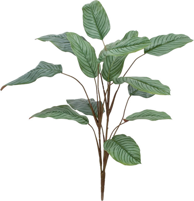 Künstliche Pflanze Aplanta Calathea Pius, Höhe: 112 cm - Bild 1