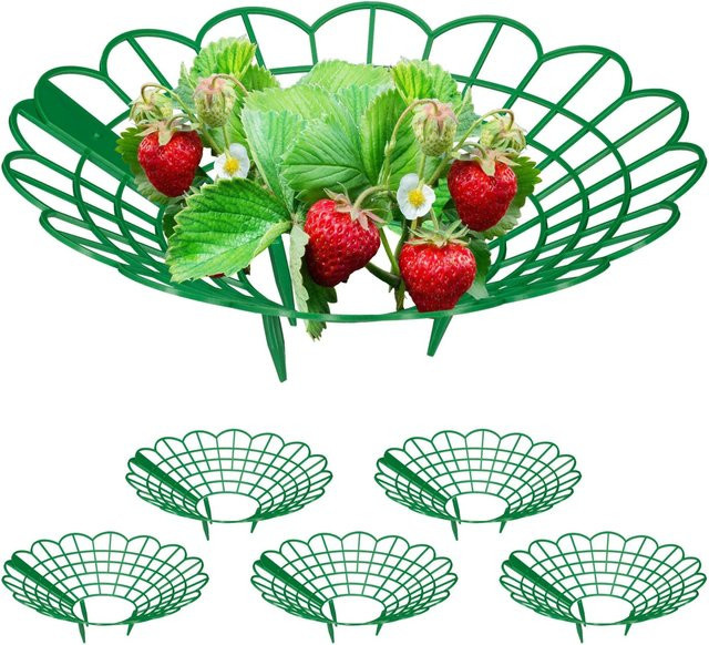 Relaxdays Erdbeerpflanzenstütze aus Kunststoff, Grün, 6er Set, Höhe: 30 cm, Breite: 10 cm - Bild 1