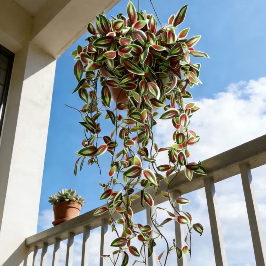 Künstliche Wandhängepflanzen von Kmitang mit Eukalyptusblättern und Scindapsus-Blättern, lila Seidenranken für Haus, Garten und Hochzeitsdekoration, Höhe: 75 cm - Bild 3