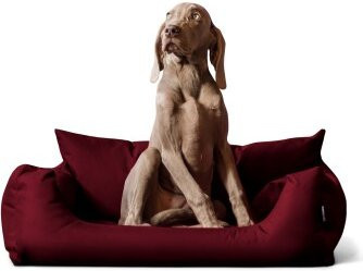 Tierlando NEMO Hundebett Hundesofa in Bordeaux Rot mit erhöhtem Rand und abnehmbarem Bezug, B/T/H: 100 x 80 x 25 cm - Bild 1