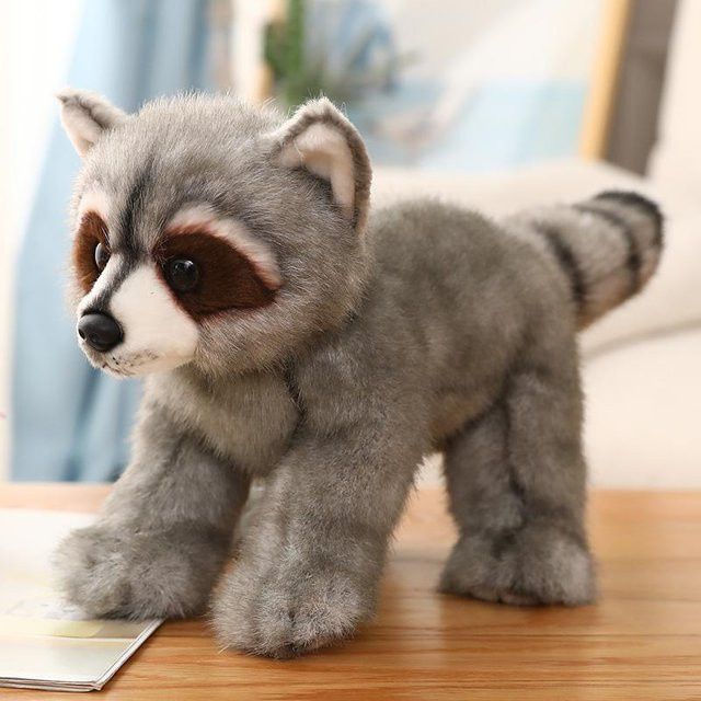 Pangcangshu Waschbär-Plüschtier, Tiere, ab 3 Jahre - Bild 1