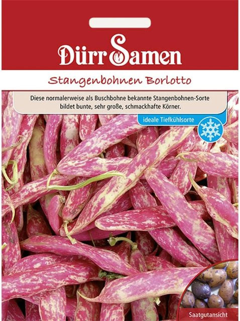 Dürr Samen Borlotto Stangenbohnen Saatgut 70 g - Bild 1