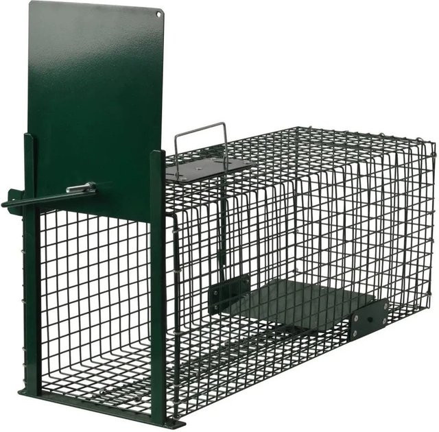 Moorland Safe 5001 Lebendfalle mit 1 Eingang in Dunkelgrün, B/T/H: 23 x 23 x 60 cm - Bild 1