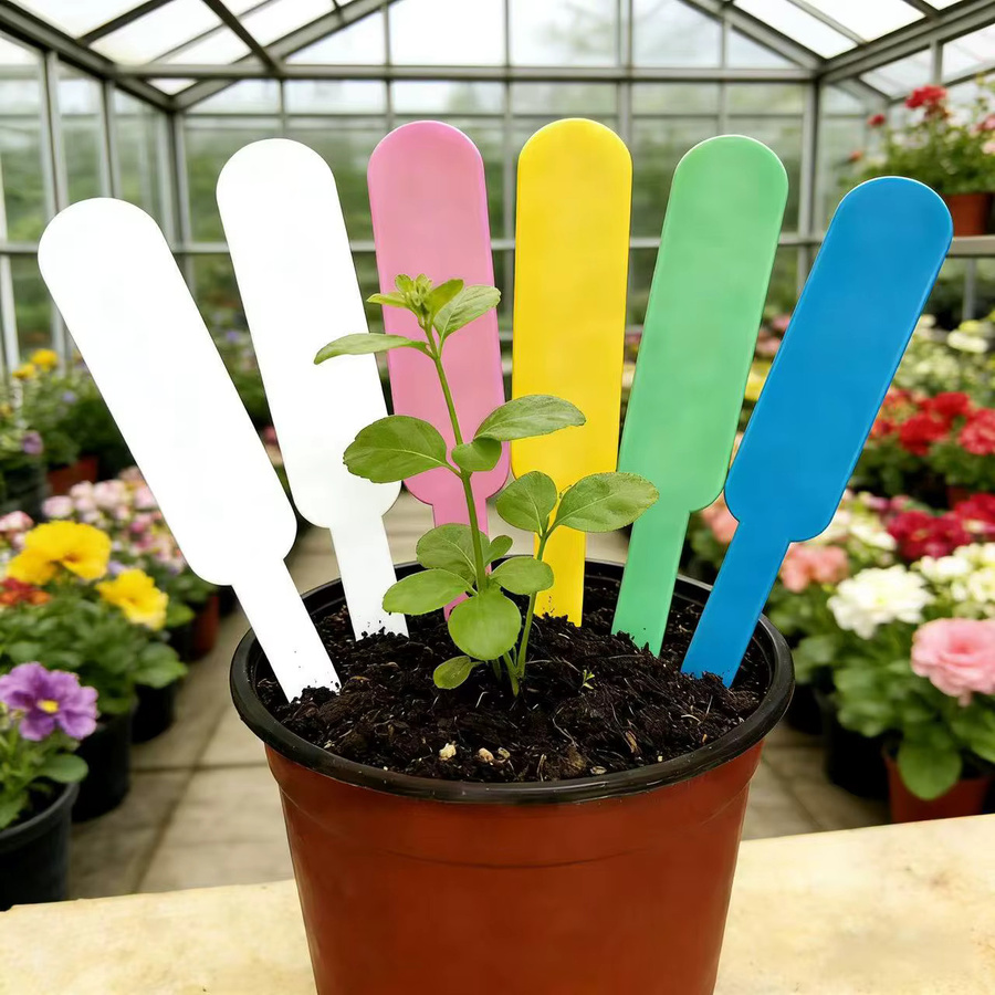 100 Stück UV-beständige Sukkulenten-Pflanzenmarkierer aus Kunststoff, bunte Gartenschilder für Innen- und Außenpflanzen, Höhe: 12 cm - Bild 2