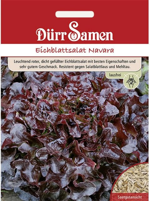 Dürr Eichblattsalat Navara Saatgut 100 g - Bild 1