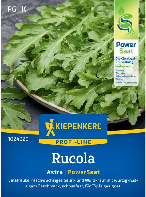 Kiepenkerl Salatrauke Astra Eruca sativa Gemüse - Bild 1