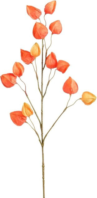 Mica Decorations Chinesische Laterne Orange Höhe: 76 cm - Bild 1