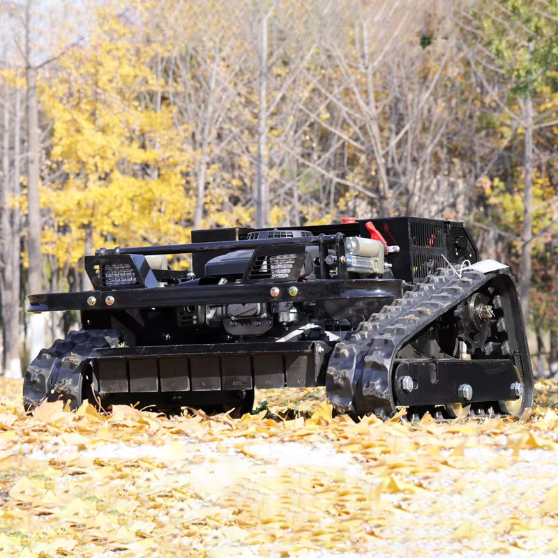 AIWEIYA Raupenmäher in Schwarz mit 550 mm Schnittbreite für die häusliche Rasenpflege - Bild 2