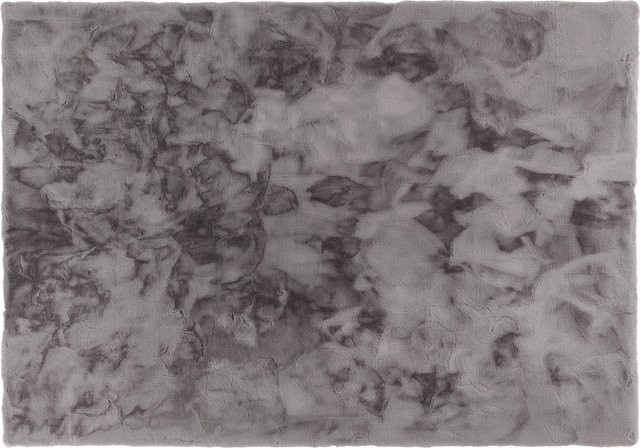 Kunstfellteppich Schöner Wohnen Tender in Grau, B/T: 80 x 150 cm - Bild 1