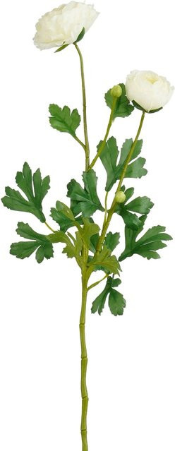 Mica Decorations Ranunculus Kunstblume in Creme und Beige, Höhe: 70 cm - Bild 1
