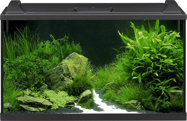 Eheim Aquapro LED 126 Aquarium-Set in Schwarz - Bild 1