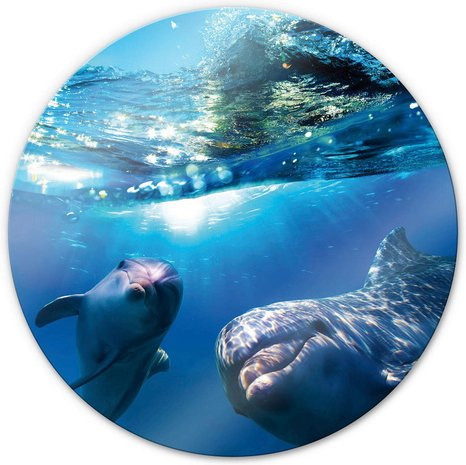 K&L Wall Art Glasbild Delfine rund, Farbe: Multicolour/Blau, Durchmesser: 50 cm - Bild 1