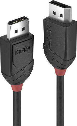 Lindy DisplayPort Kabel Black Line Schwarz 1,00 m - Bild 1