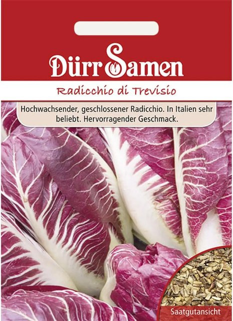 Dürr Radicchio Di Treviso Saatgut - Bild 1