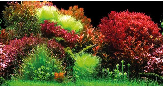 Hobby Fotorückwand-Zuschnitt Selbstklebend Ocean, B: 120 cm, H: 50 cm - Bild 1