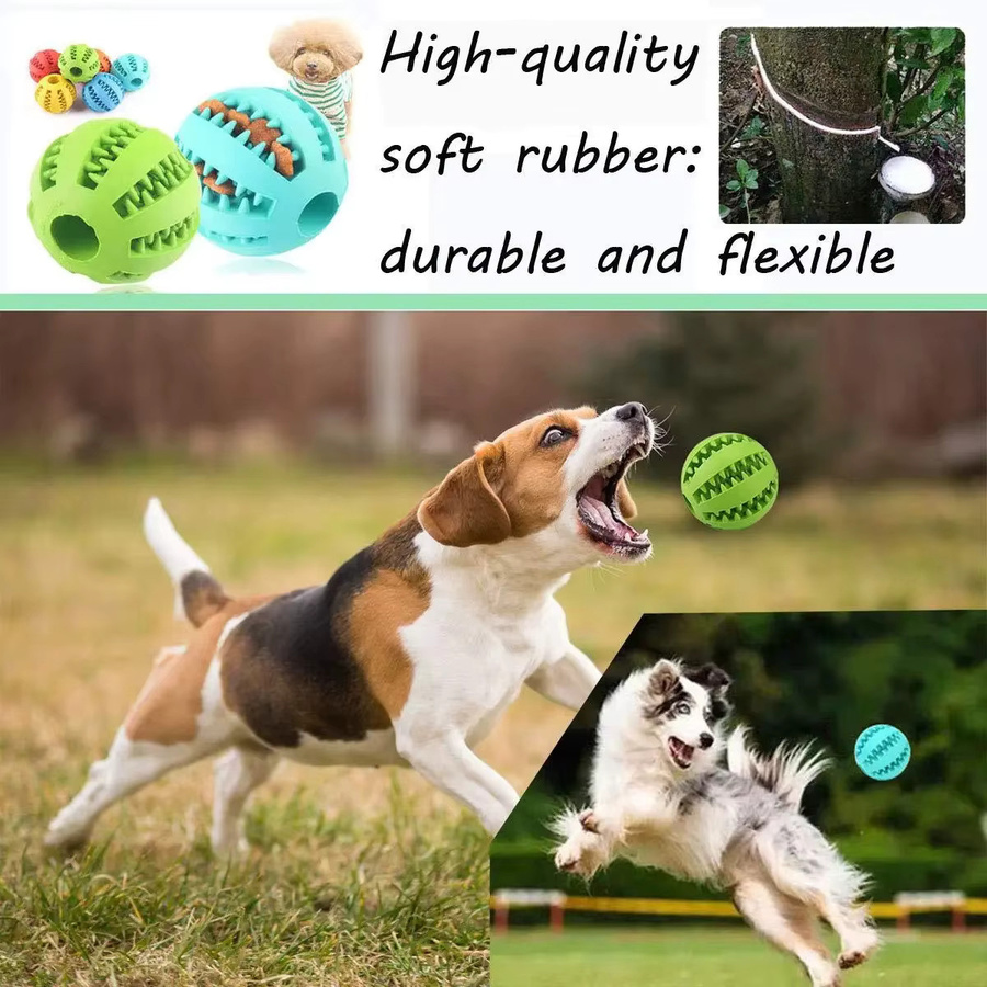 Hundespielzeug, interaktiver elastischer Weichball, zur Zahnreinigung - Bild 3