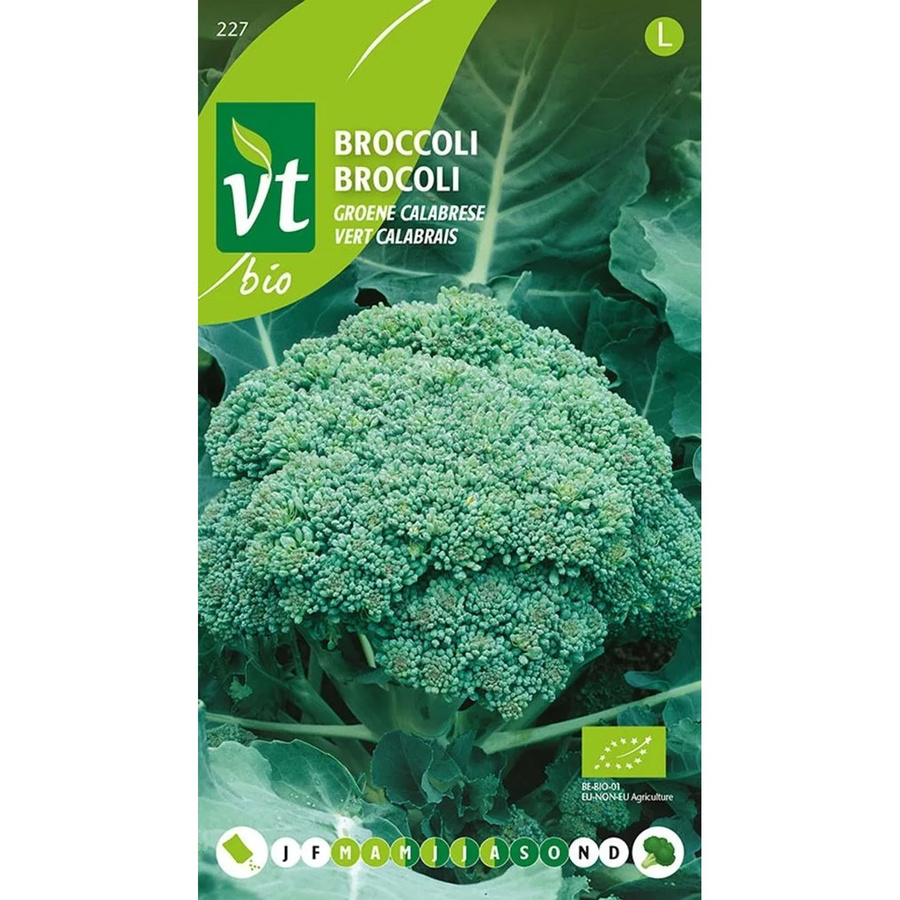 Arborix Bio Brokkoli Calabrese Samen, 0,3 g - Bild 2