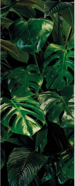 Komar Fototapete Vlies Tropical Wall Panel, Farbe: Grün, B/H: 100 x 250 cm - Bild 1