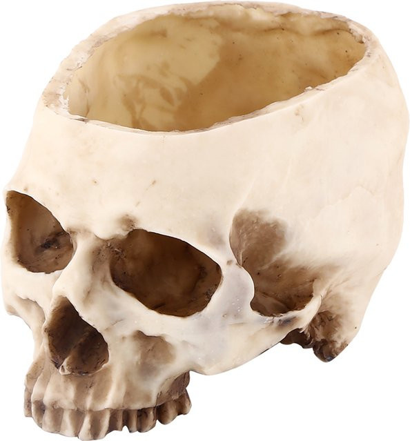 Fdit Blumentopf in Schädel-Design, beige, Tischdeko aus Kunststoff - Bild 1
