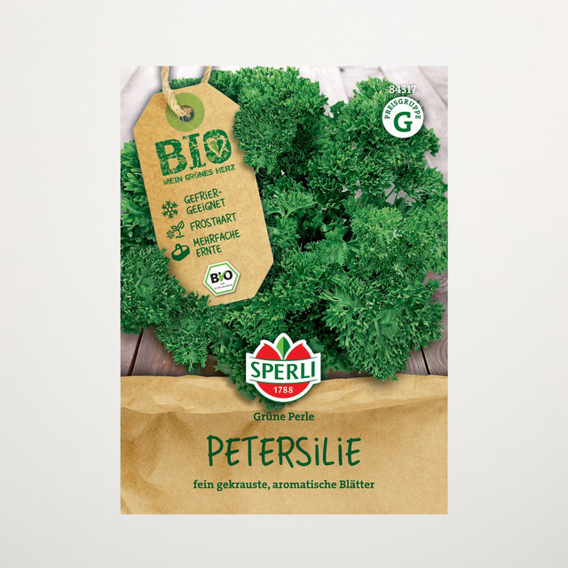 Sperli Krause Petersilie Grüne Perle Bio Samen - Bild 1