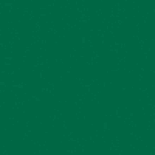 folia Fotokarton A4 Tannengrün 50 Blatt 300g/m² - Bild 1