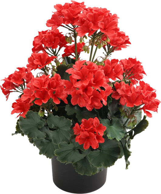 Künstliche Geranie Letizia I von artplants in Rot, Höhe: 45 cm - Bild 1
