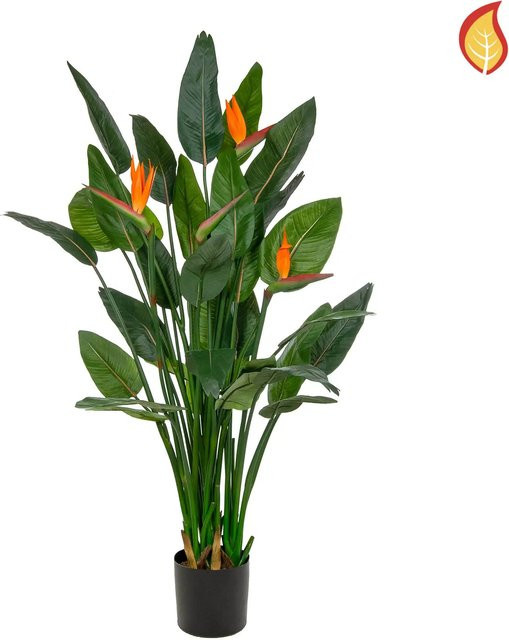 Künstliche Strelitzia Georg von Aplanta, grüne Zimmerpflanze, Höhe: 150 cm - Bild 1