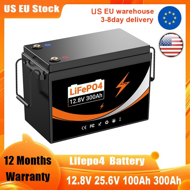 EFFIVOLT LiFePO4 Lithium-Eisen-Akku mit BMS für Heimenergiespeicher, Dreirad, Go-Kart oder Notstromversorgung, 12V 100Ah / 24V 100Ah / 48V 50Ah - Bild 1