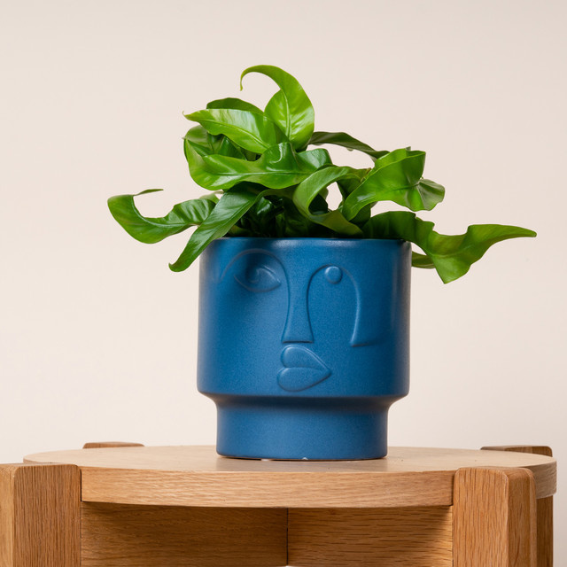 Keramik Übertopf Face von BLUME2000 in Blau, Höhe: 11 cm - Bild 1