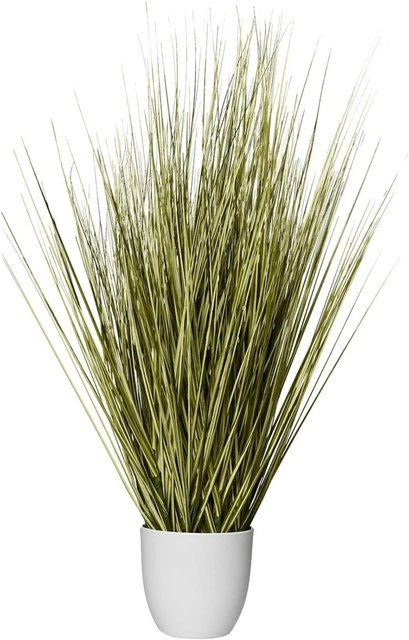 Vivanno Kunstpflanze Junco in Grün und Weiß, Topfpflanze im modernen Design, B/T/H: 50 x 50 x 80 cm - Bild 1