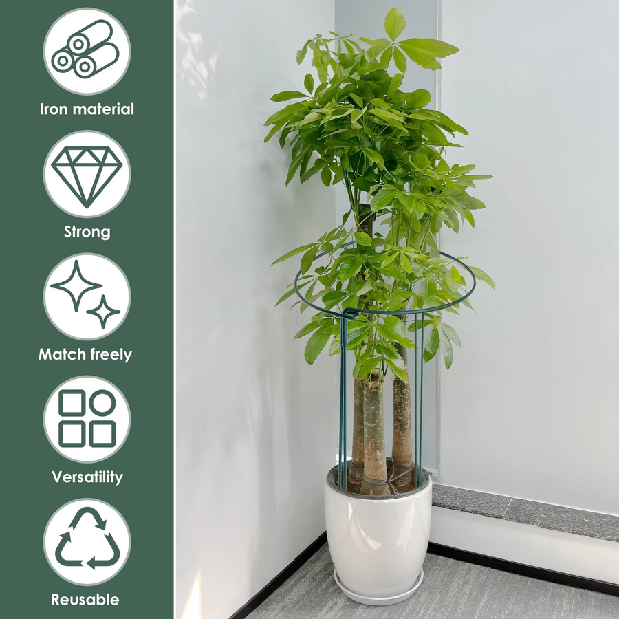 10 Stück Pflanzenstützpfähle aus Metall in Grün, rostfreie Gartenstützen als Pfingstrosen-Stützring und Käfig, Höhe: 63 cm, Durchmesser: 25 cm - Bild 2