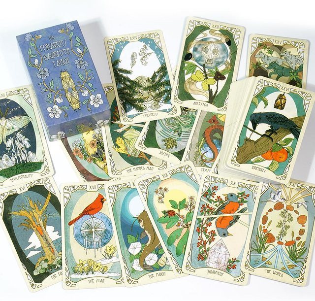 Forager'S Daughter Tarotkarten-Wahrsageset, Natur, Grau, Bunt / Mehrfarbig - Bild 1