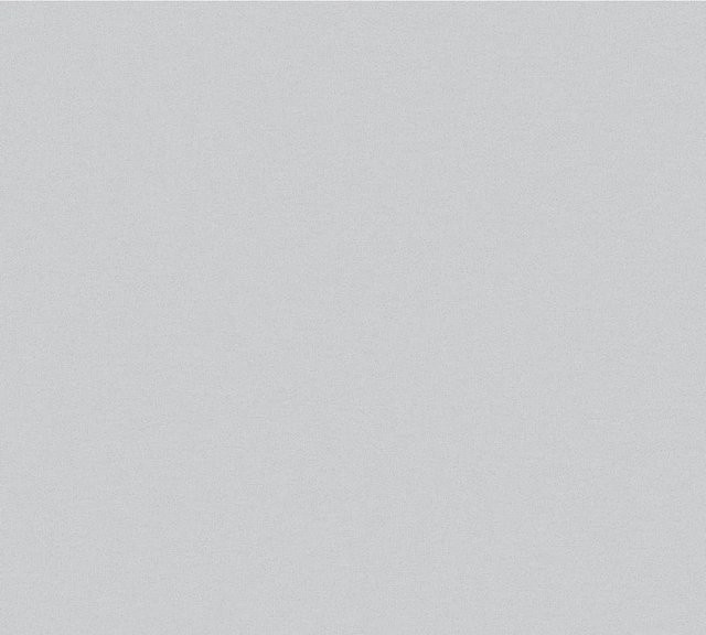Tadessi Vliestapete Uni M1-No.1897 in Grau - Bild 1