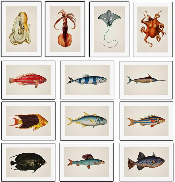 Potdemiel Leinwandgemälde Meeresleben mit tropischen Fischen in Multicolour im Vintage-Stil - Bild 1