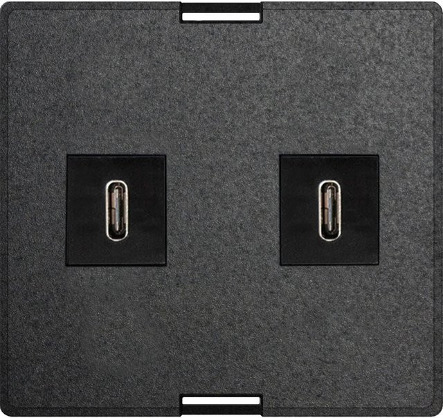 EVOline Wechselmodul USB Charger mit 2 x USB Typ C in Schwarz inklusive Netzteil - Bild 1