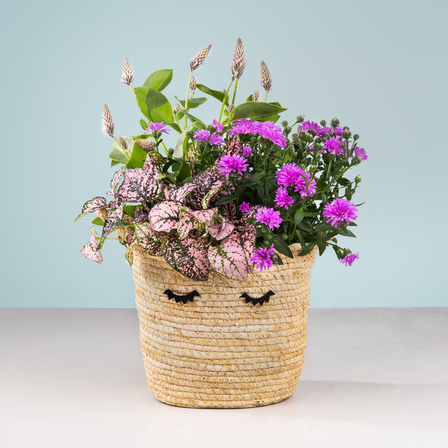 BLUME2000 Sommer Korb für Balkon und Terrasse in Easy Potted Design - Bild 1