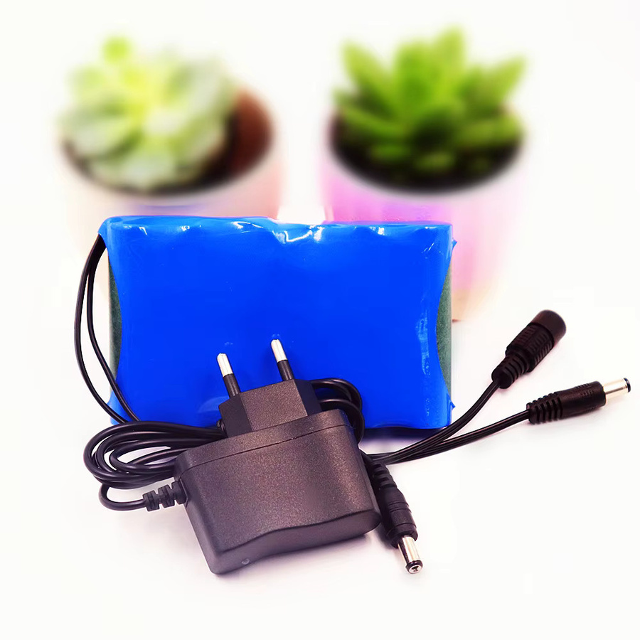 Cheterdoli Tragbarer Lithium-Ionen-Akkupack 12V 30000mAh mit Ladegerät, Blau - Bild 2