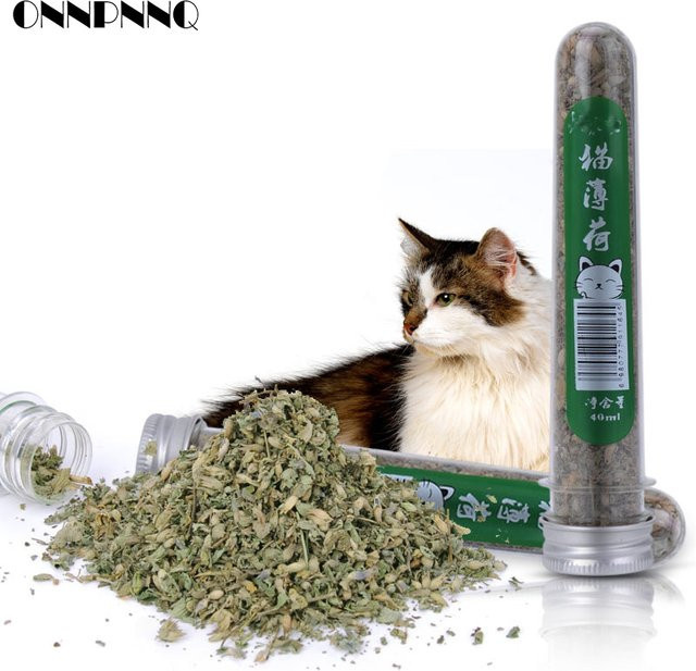 Otmagelu Katzenminze Spielzeug für Katzen, 1-teiliges Set - Bild 1
